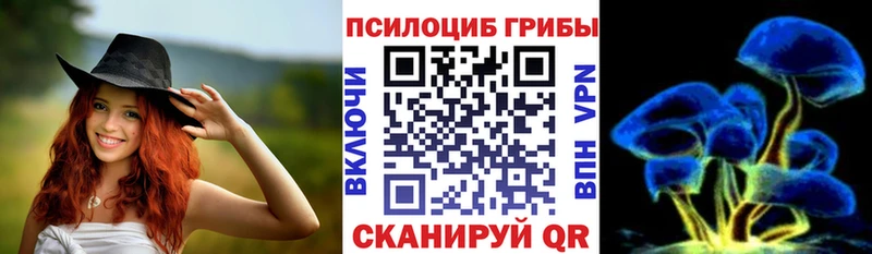 Галлюциногенные грибы прущие грибы  Купить где  Богданович 